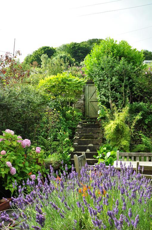 The Fernery B&B Lynton Exteriör bild